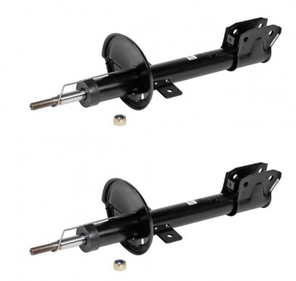 Комплект амортизаторов для автомобилей Renault Kaptur (16-) 4x4 задний (2 шт.)