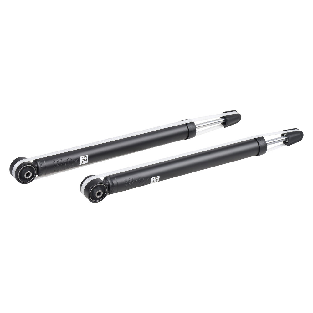 Комплект амортизаторов для автомобилей VW Polo Sedan (RUS) (10-) / Rapid (12-) задние 2 шт.
