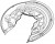 Кожух заднего правого тормозного диска для автомобилей VW Tiguan (08-) 4WD