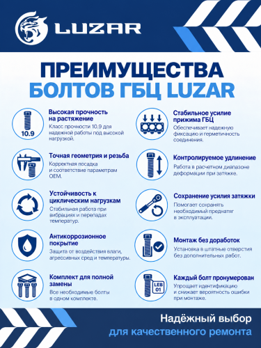 Болты ГБЦ для а/м Ford Focus II (05-)/Focus III (11-)/Fusion (02-) 1.4i/1.6i [HWDA; IQDB; PNDA; FYJA] (10 шт.)
