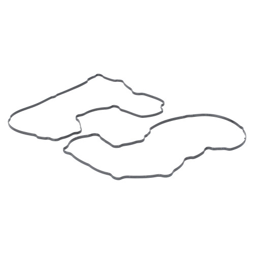 Прокладка клапанной крышки для а/м Peugeot 307 (00-)/Citroen C4 (04-) 1.6i (кмпл. 2шт.)