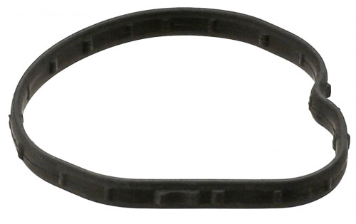 Прокладка термостата для а/м Ford Focus II (05-)/Kuga (12-)/Mazda 6 (07-) 1.8i/2.0/2.5i