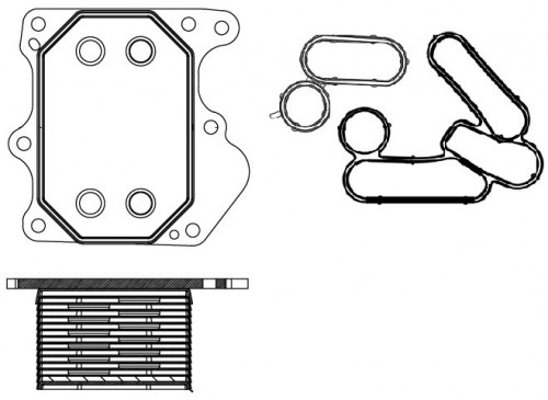 Радиатор масляный для автомобилей Transit (06-)/(13-)/Fiat Ducato (06-)/Peugeot Boxer (06-) 2.2TD